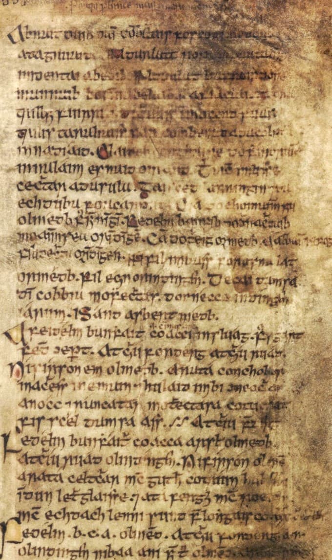 Damaged page before cleaning