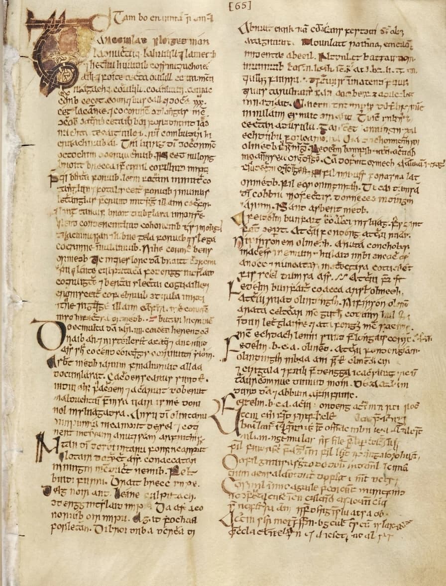 Document after restoration