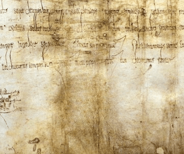 Document after object cleanup